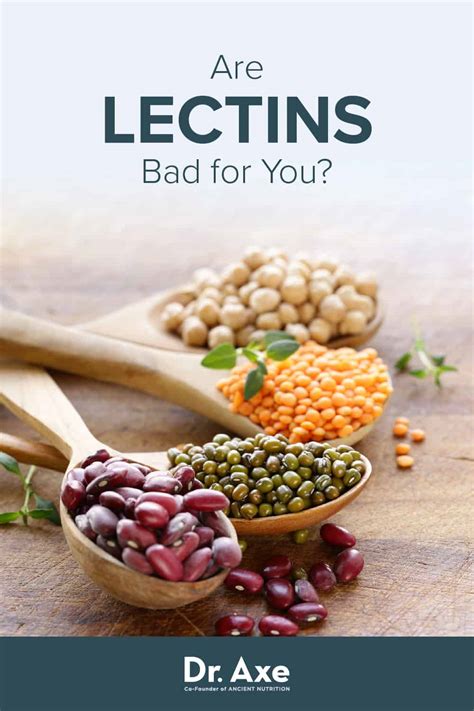 lectins dr axe